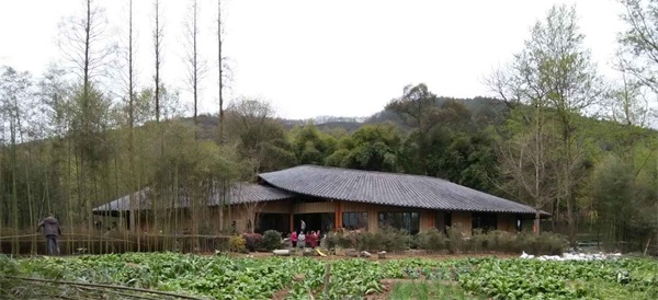 道明&mdash;&mdash;竹里